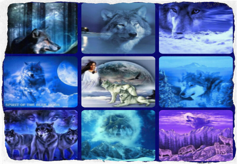 Wolf Collage — Blue