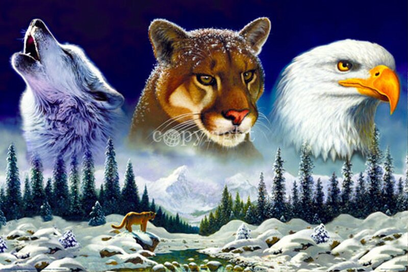 Wolf Cougar Eagle