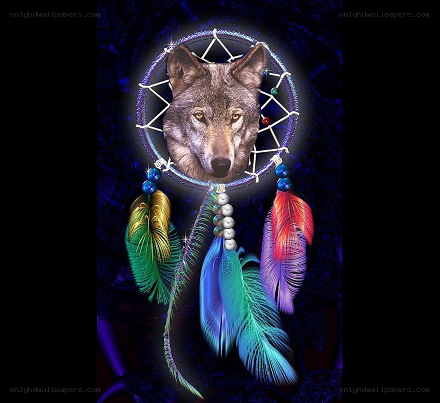 Wolf dreamcatcher with colorful feathers
