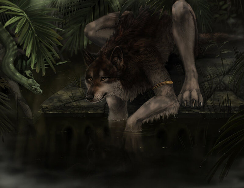 Wolf Drinking from Pond