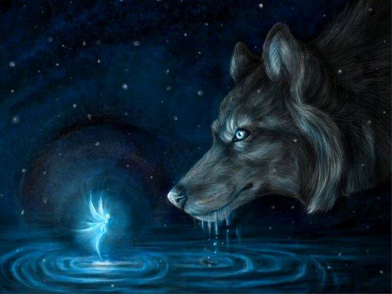 Wolf Drinking Water — Blue, Mystical