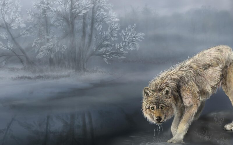 Wolf Drinking Water — Gray, Misty, Winter, Digital Art, River, Trees, Fog