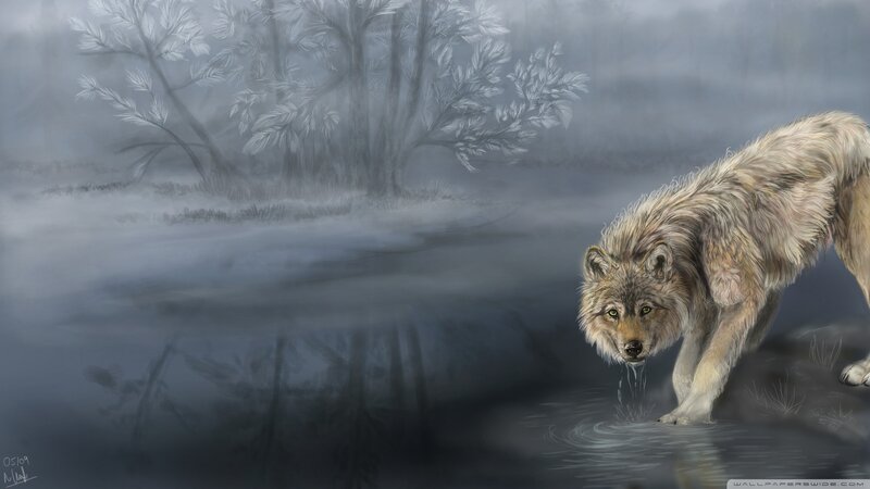 Wolf Drinking Water — Gray, Misty, Winter, Digital Art, River, Trees