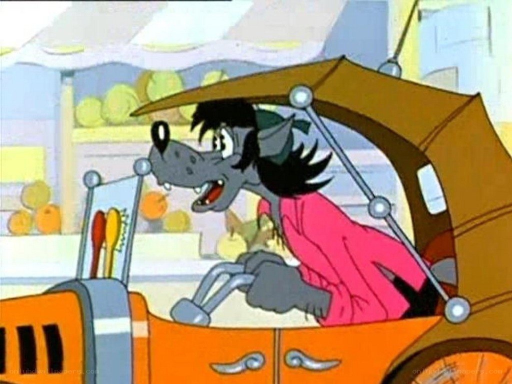 wolf driving a car