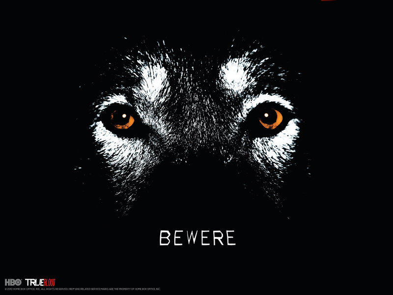 Wolf Eyes in Darkness