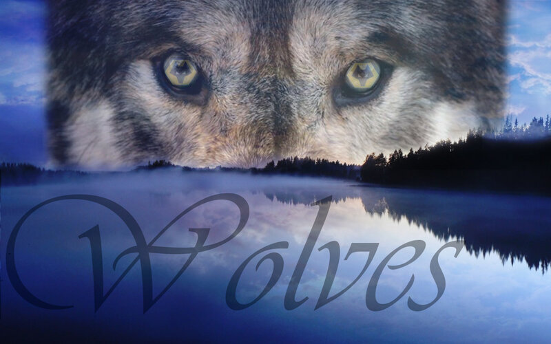 Wolf Eyes in Forest — Blue