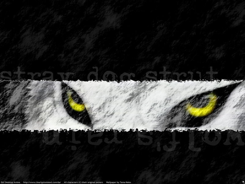 Wolf Eyes in Snow — Black