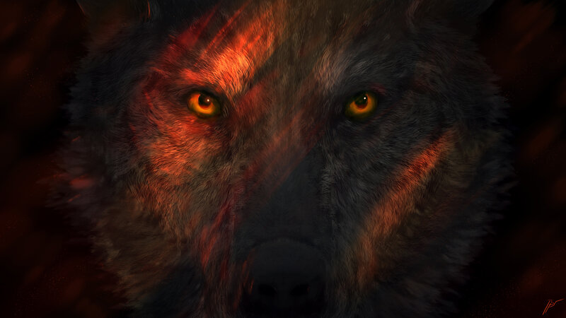 Wolf Face Close-up — Black