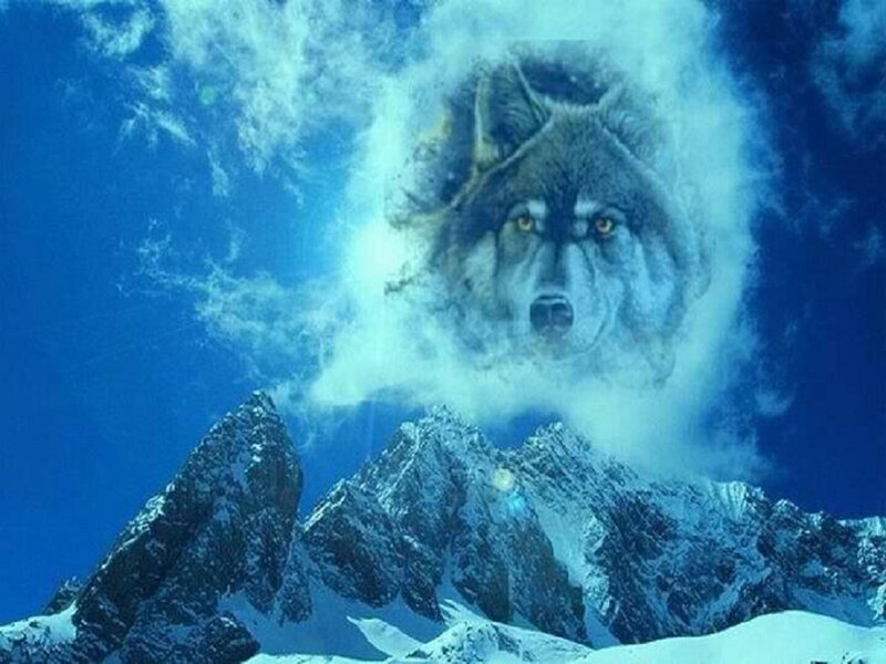 Wolf Face in Clouds