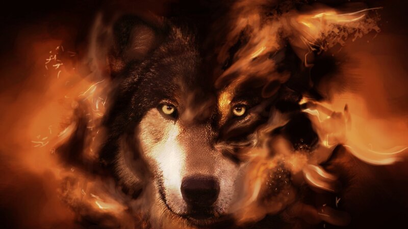 Wolf Face in Flames