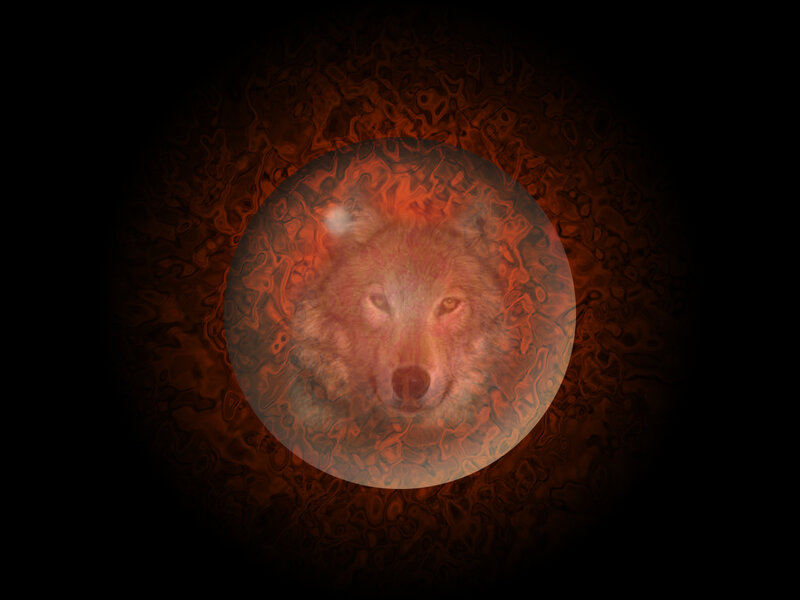 wolf face in glowing orb