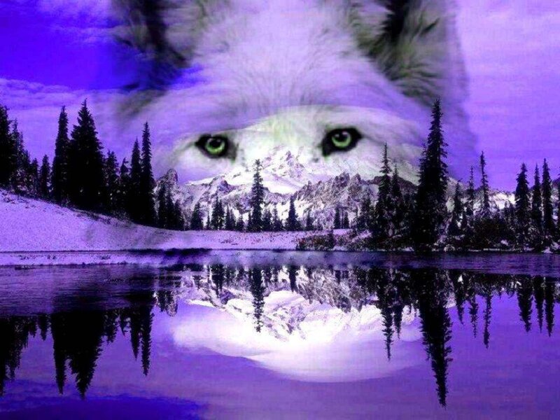 Wolf Face in Landscape