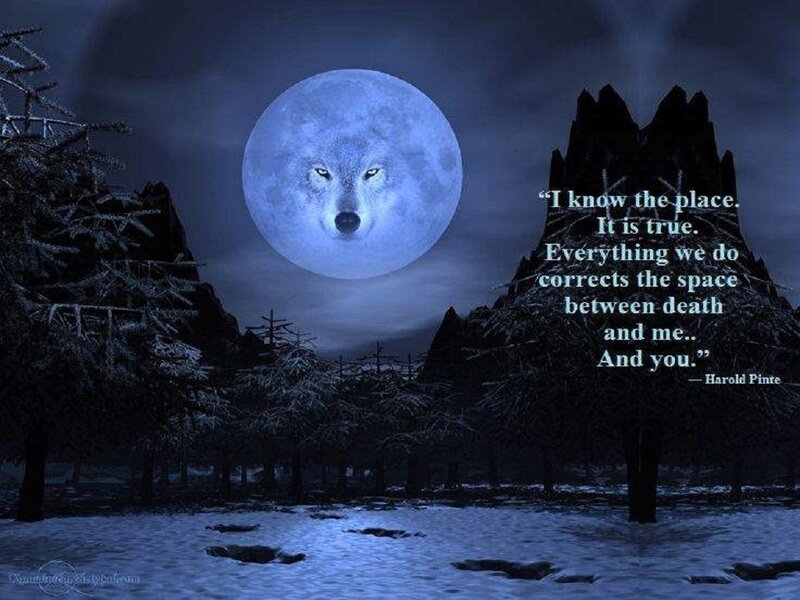 Wolf Face in Moon