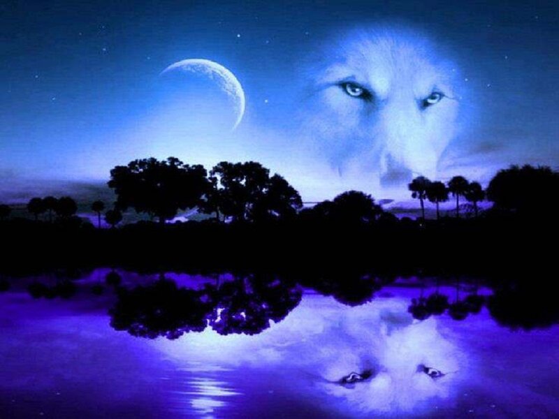Wolf Face in Night Sky