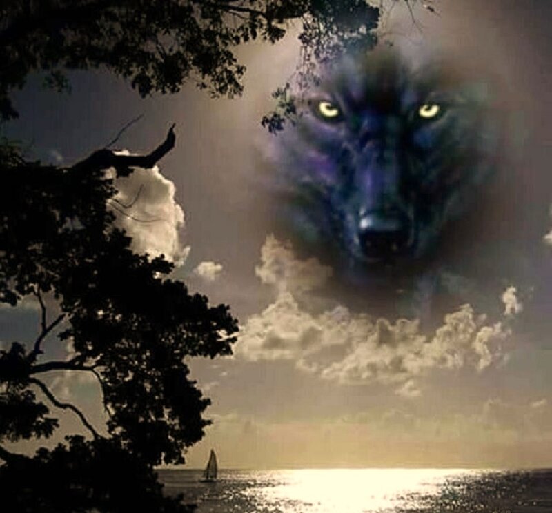 Wolf Face in Sky — Blue