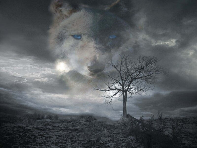 Wolf Face in Sky
