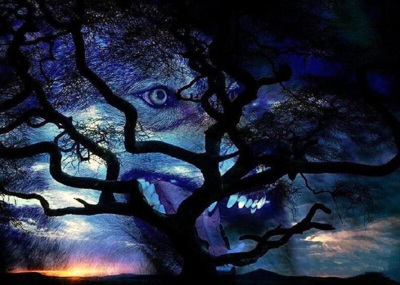 Wolf Face in Tree
