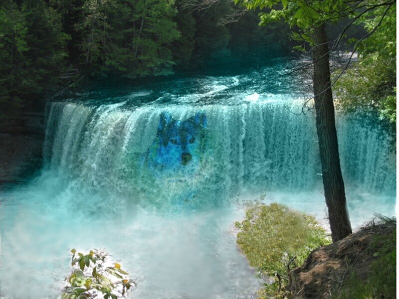 Wolf Face in Waterfall