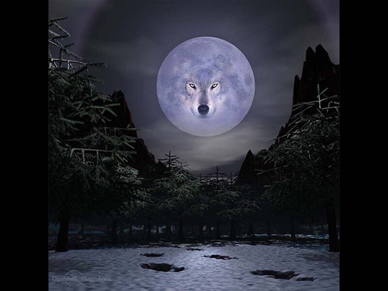 Wolf Face on Moon
