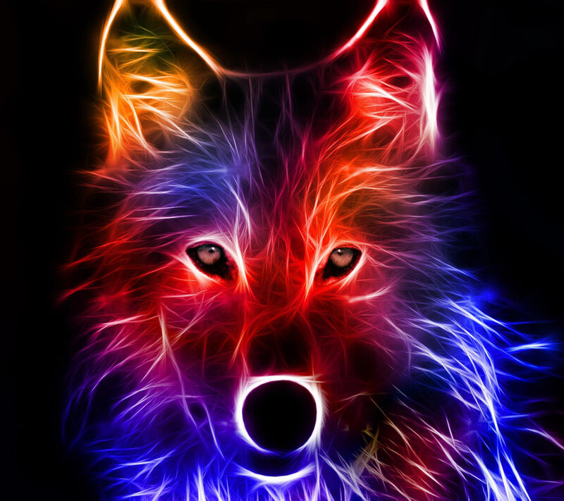Wolf Face