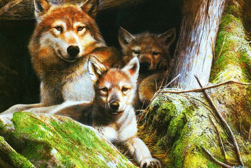 Wolf Family in Den — Brown