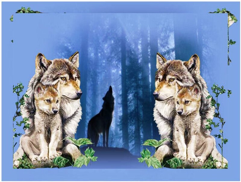Wolf Family in Forest — Blue