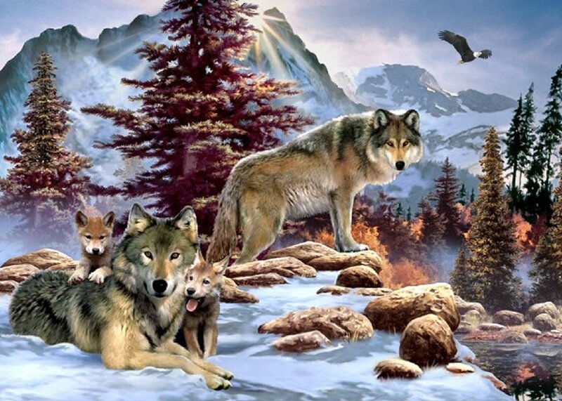 Wolf Family in Forest — Brown, Serene
