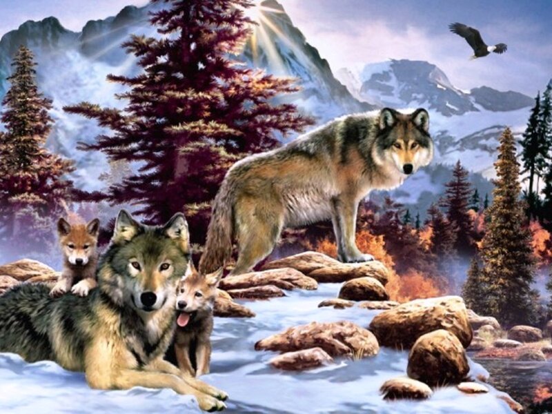 Wolf Family in Forest — Brown, Serene, Winter