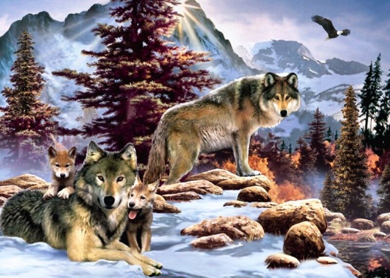 Wolf Family in Forest — Brown