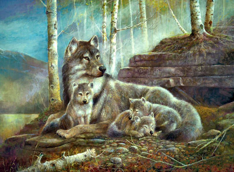 Wolf Family in Forest — Gray