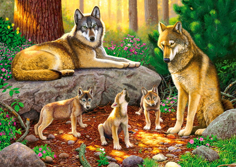 Wolf Family in Forest — Green, Serene
