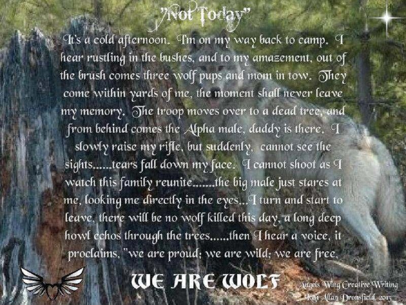 Wolf Family in Forest — Green