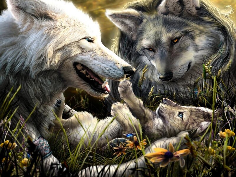 Wolf Family in Grass