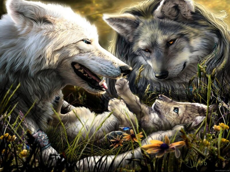 Wolf Family in Grass — White