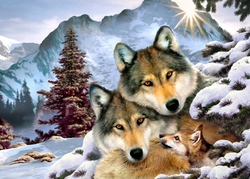 Wolf Family in Snow