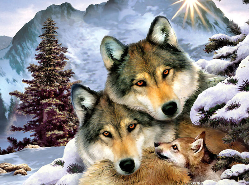 Wolf Family in Snow — White, Serene, Winter