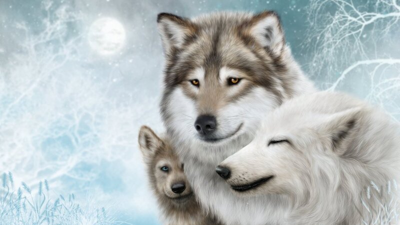 Wolf Family in Winter