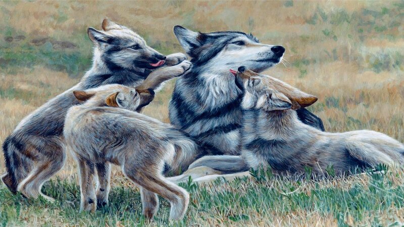 Wolf Family Playing
