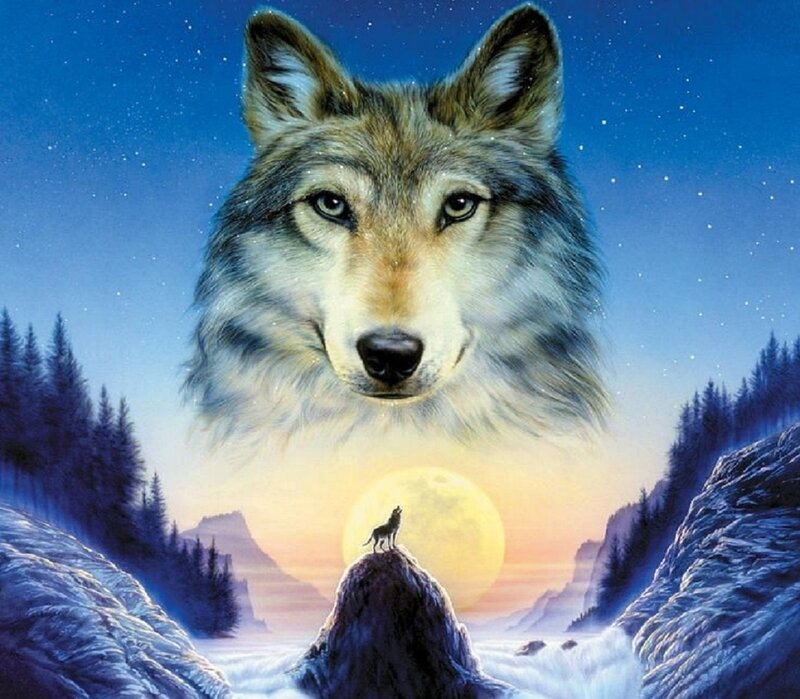 Wolf Head and Wolf Howling