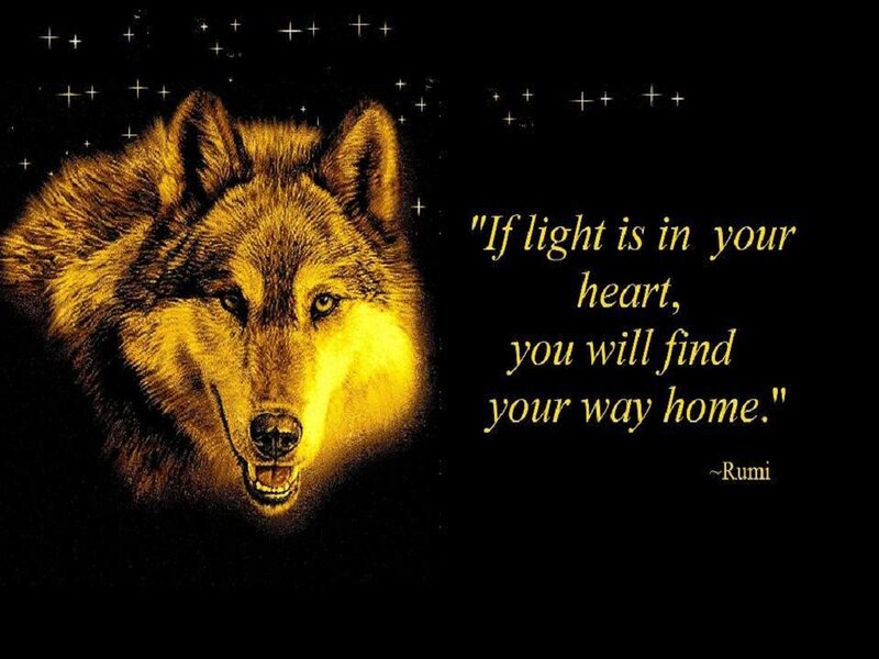Wolf Head — Black