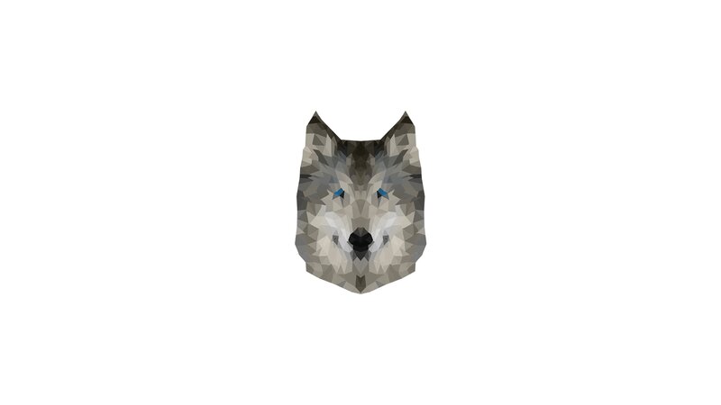 Wolf Head — Gray, Neutral