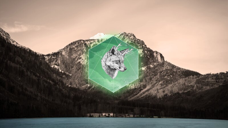 Wolf Head Illustration — Green