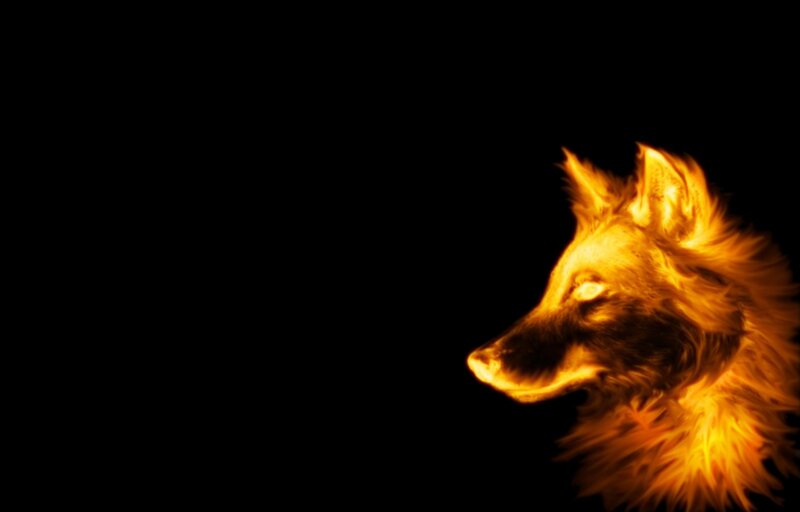 Wolf Head in Flames