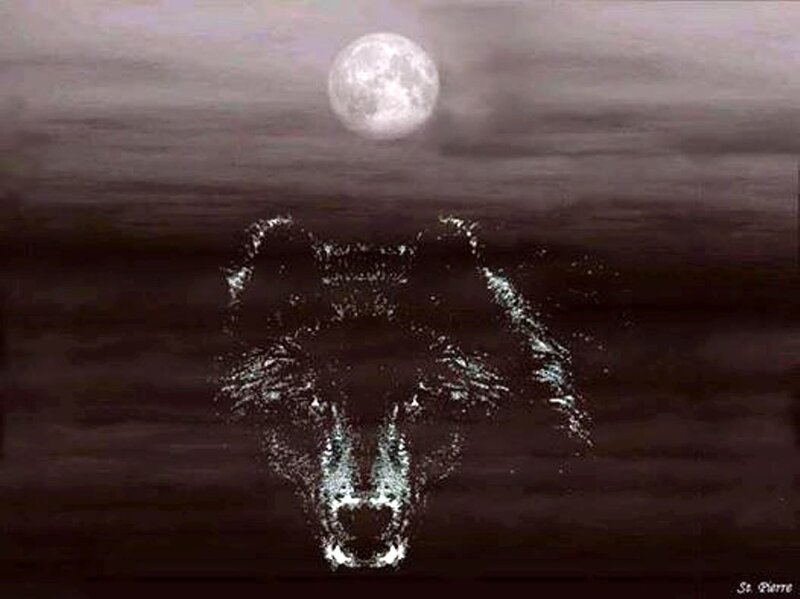 Wolf Head in Water
