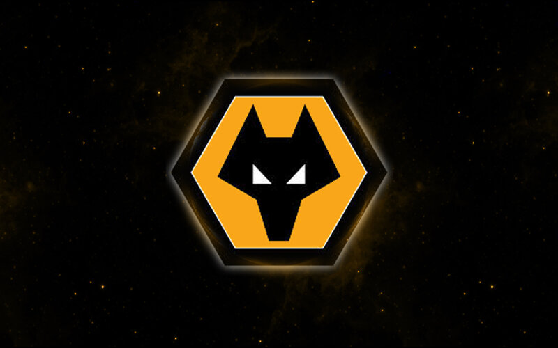 Wolf Head Logo — Black, Dramatic, Night