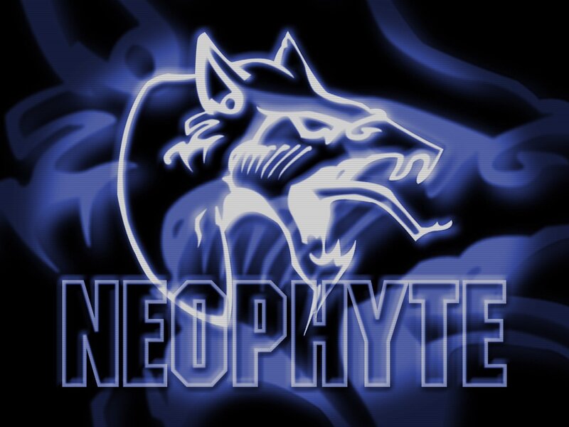 Wolf Head Logo — Blue, Dramatic, Digital Art, Text