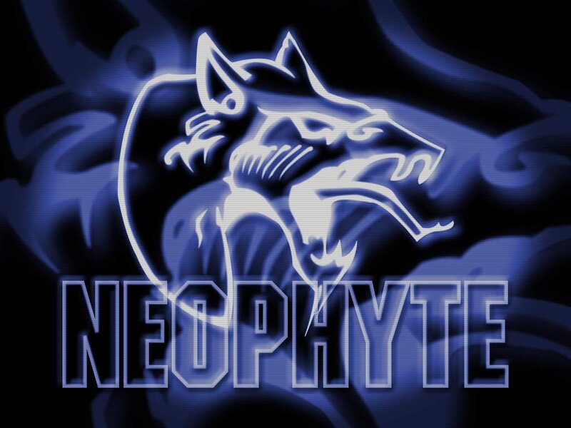 Wolf Head Logo — Blue, Dramatic