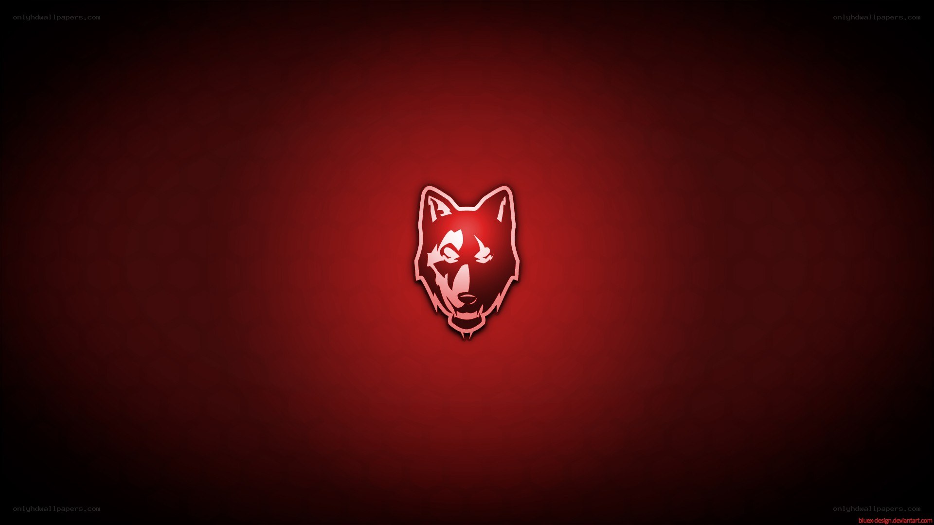 wolf head logo on red background