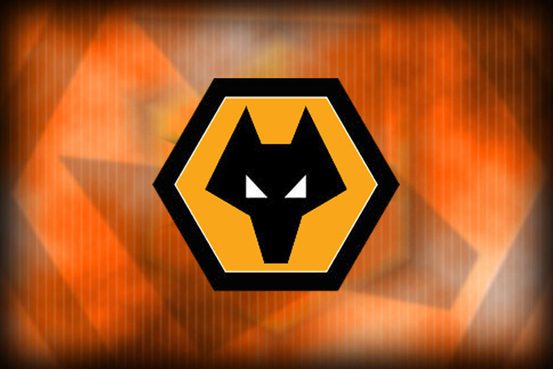 Wolf Head Logo — Orange, Dramatic
