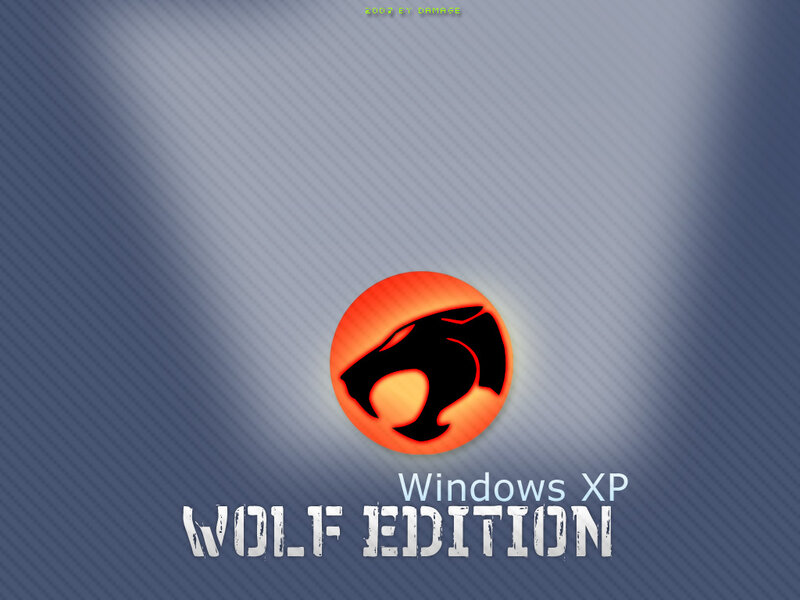 Wolf Head Logo